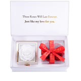 Valentines Day Eternal Rose Box Bundle