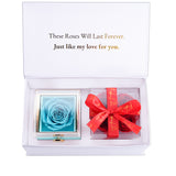 Christmas Eternal Rose Box Bundle