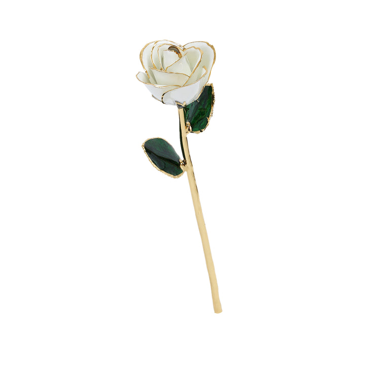 24k Gold Dipped Rose