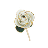 24k Gold Dipped Rose