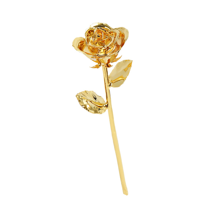 24k Gold Dipped Rose