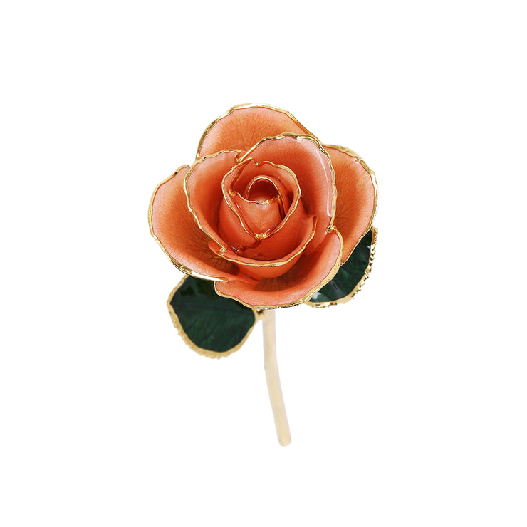 24k Gold Dipped Rose