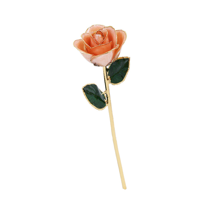 24k Gold Dipped Rose