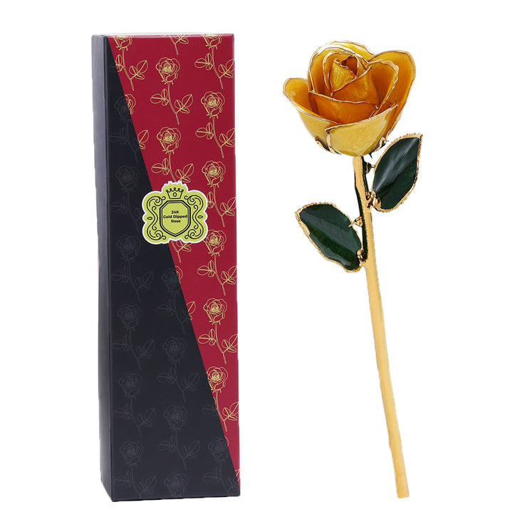 24k Gold Dipped Rose