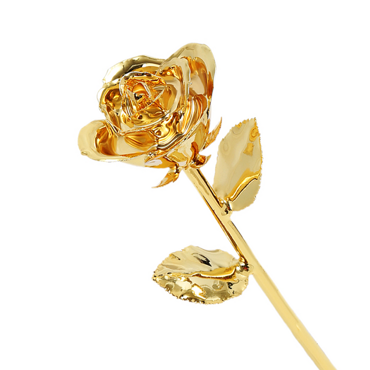 24k Gold Dipped Rose