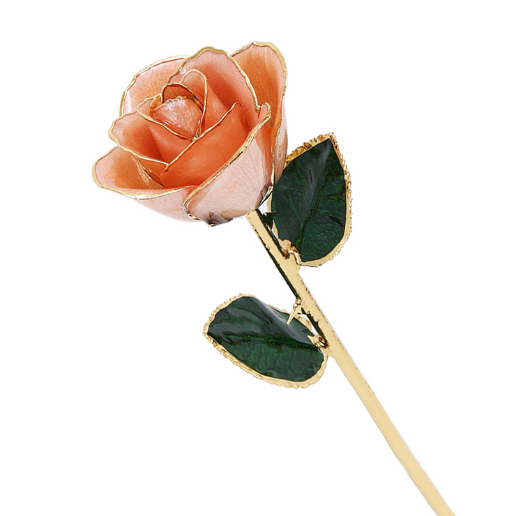 24k Gold Dipped Rose