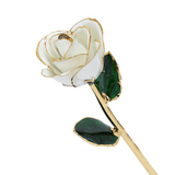 24k Gold Dipped Rose